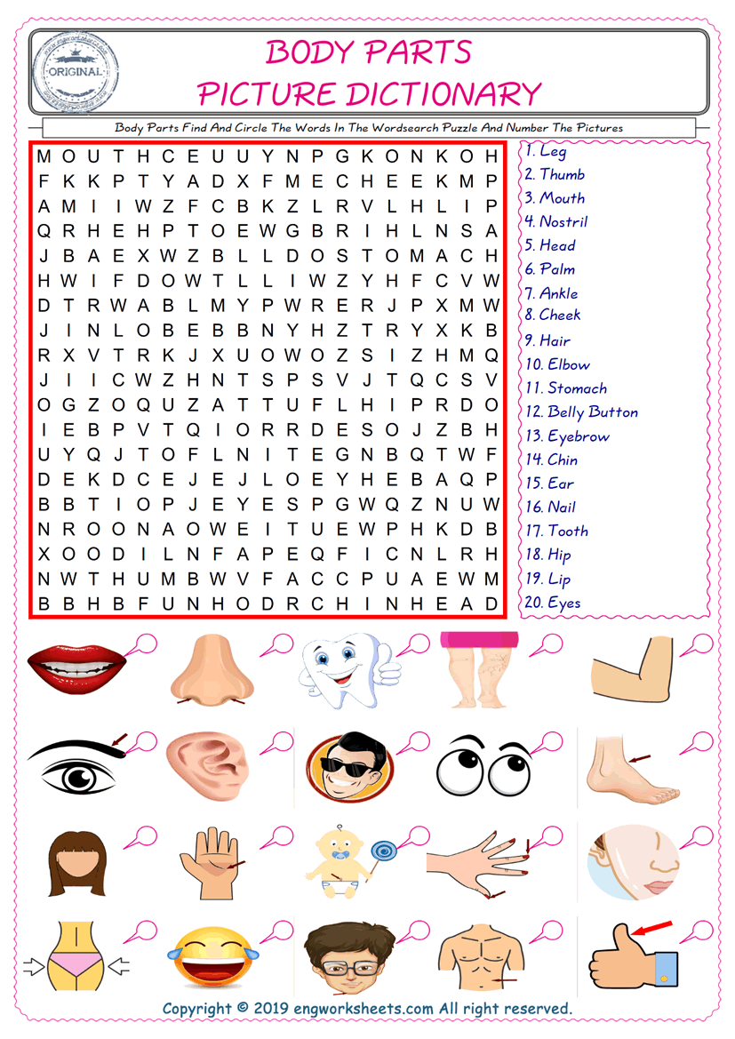  ESL wordsearch worksheets for kids, find Body Parts words in the word wordsearch write its number on its picture English worksheet. 